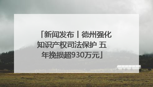 新闻发布丨德州强化知识产权司法保护 五年挽损超930万元