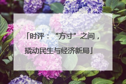 时评：“方寸”之间，撬动民生与经济新局