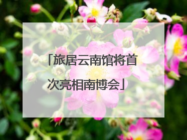 旅居云南馆将首次亮相南博会