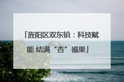 旌阳区双东镇：科技赋能 结满“杏”福果