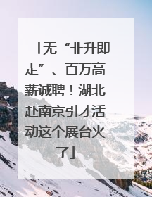 无“非升即走”、百万高薪诚聘！湖北赴南京引才活动这个展台火了