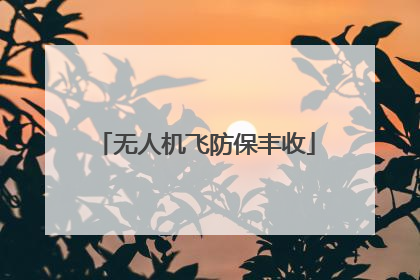 无人机飞防保丰收