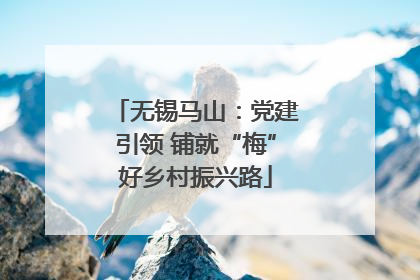 无锡马山：党建引领 铺就“梅”好乡村振兴路