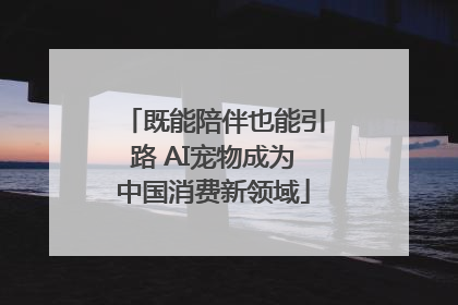 既能陪伴也能引路 AI宠物成为中国消费新领域