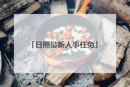 日照最新人事任免