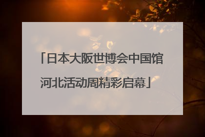 日本大阪世博会中国馆河北活动周精彩启幕