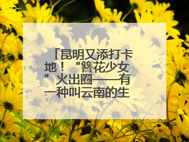 昆明又添打卡地！“簪花少女”火出圈——有一种叫云南的生活之365天