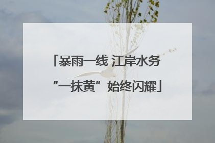 暴雨一线 江岸水务“一抹黄”始终闪耀