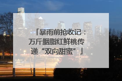 暴雨前抢收记：万斤胭脂红鲜桃传递“双向甜蜜”