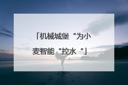 机械城堡“为小麦智能“控水“
