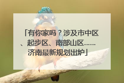 有你家吗？涉及市中区、起步区、南部山区……济南最新规划出炉