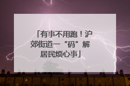 有事不用跑！沪郊街道一“码”解居民烦心事