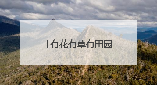 有花有草有田园，杭州这个景中村又给村民送惊喜