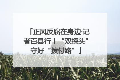 正风反腐在身边·记者百县行丨“双探头”守好“拨付路”
