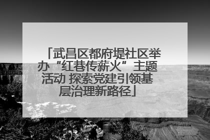 武昌区都府堤社区举办“红巷传薪火”主题活动 探索党建引领基层治理新路径