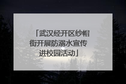 武汉经开区纱帽街开展防溺水宣传进校园活动