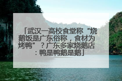 武汉一高校食堂称“烧鹅饭是广东俗称，食材为烤鸭”？广东多家烧鹅店：鸭是鸭鹅是鹅