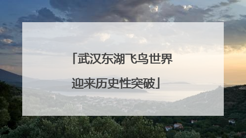武汉东湖飞鸟世界迎来历史性突破