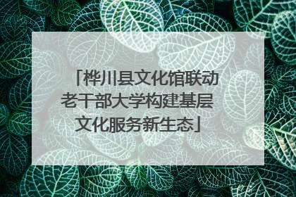 桦川县文化馆联动老干部大学构建基层文化服务新生态