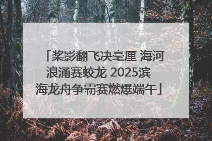 桨影翻飞决毫厘 海河浪涌赛蛟龙 2025滨海龙舟争霸赛燃爆端午