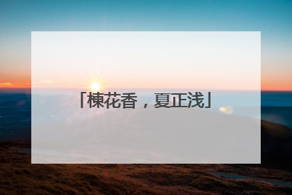 楝花香，夏正浅