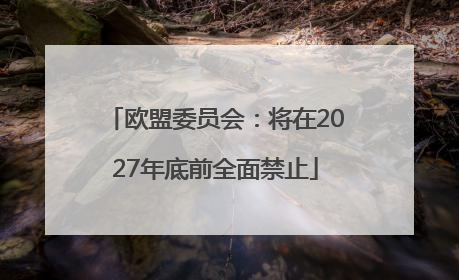 欧盟委员会：将在2027年底前全面禁止