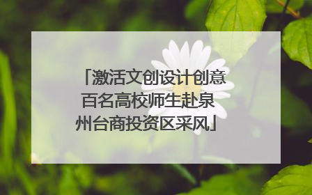 激活文创设计创意 百名高校师生赴泉州台商投资区采风
