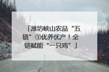 潍坊峡山农品“五链”③优养优产！全链赋能“一只鸡”