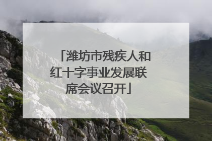 潍坊市残疾人和红十字事业发展联席会议召开