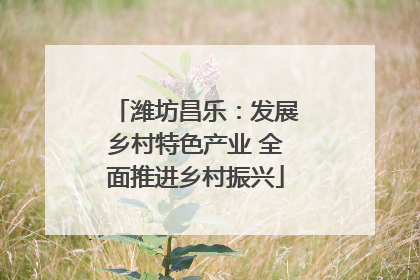 潍坊昌乐：发展乡村特色产业 全面推进乡村振兴