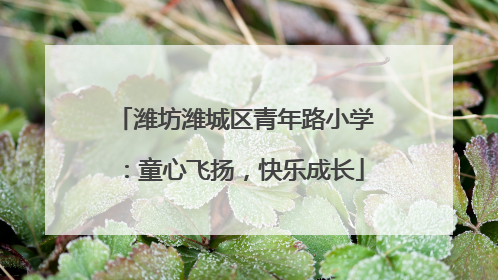 潍坊潍城区青年路小学：童心飞扬，快乐成长