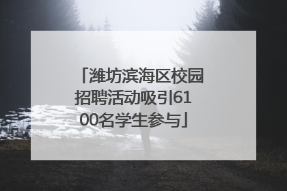 潍坊滨海区校园招聘活动吸引6100名学生参与