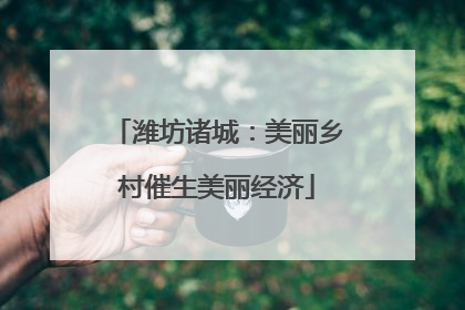 潍坊诸城：美丽乡村催生美丽经济