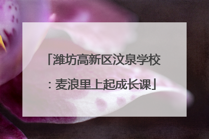 潍坊高新区汶泉学校：麦浪里上起成长课