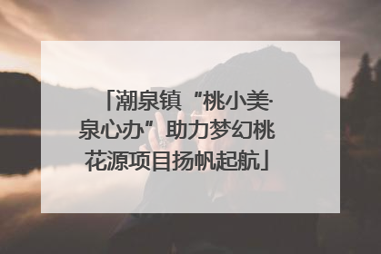 潮泉镇“桃小美·泉心办”助力梦幻桃花源项目扬帆起航