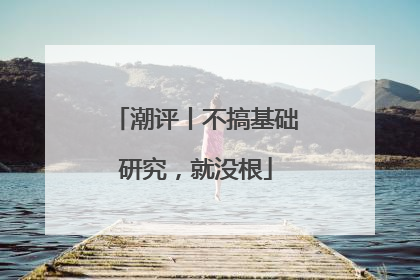 潮评丨不搞基础研究，就没根