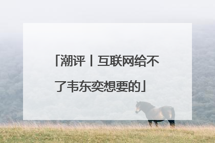 潮评丨互联网给不了韦东奕想要的