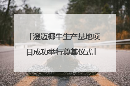 澄迈椰牛生产基地项目成功举行奠基仪式