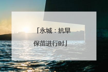 永城：抗旱保苗进行时