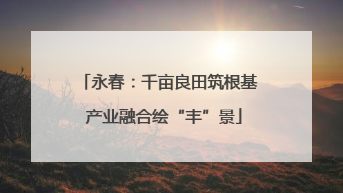 永春：千亩良田筑根基 产业融合绘“丰”景