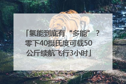 氢能到底有“多能”？零下40摄氏度可载50公斤续航飞行3小时