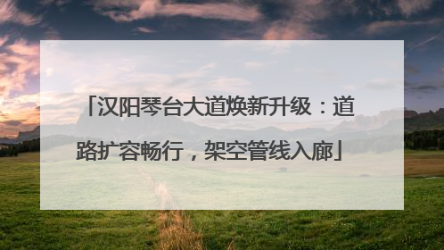 汉阳琴台大道焕新升级：道路扩容畅行，架空管线入廊