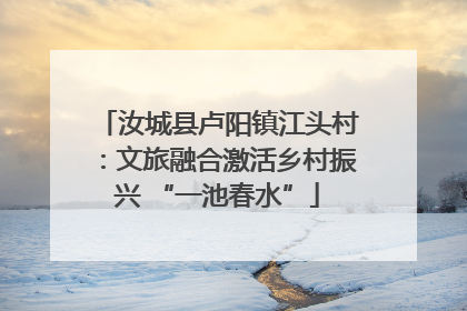 汝城县卢阳镇江头村：文旅融合激活乡村振兴 “一池春水”