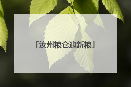 汝州粮仓迎新粮