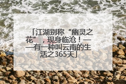 江湖别称“幽灵之花”，现身临沧！——有一种叫云南的生活之365天