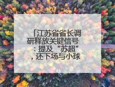 江苏省省长调研释放关键信号：提及“苏超”，还下场与小球员踢球互动
