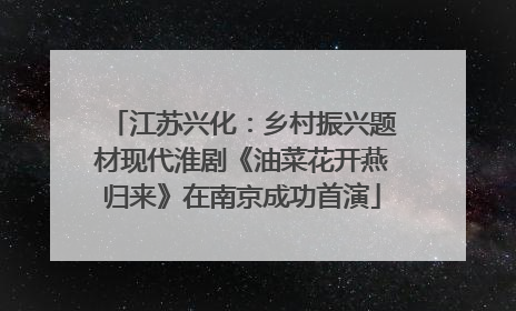 江苏兴化：乡村振兴题材现代淮剧《油菜花开燕归来》在南京成功首演