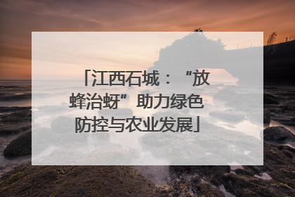 江西石城：“放蜂治蚜”助力绿色防控与农业发展