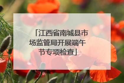 江西省南城县市场监管局开展端午节专项检查