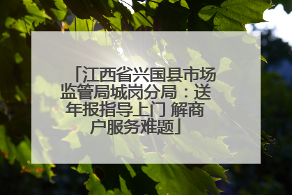 江西省兴国县市场监管局城岗分局：送年报指导上门 解商户服务难题